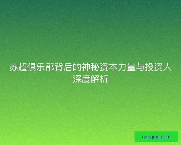 苏超俱乐部背后的神秘资本力量与投资人深度解析 苏超俱乐部背后的神秘资本力量与投资人深度解析