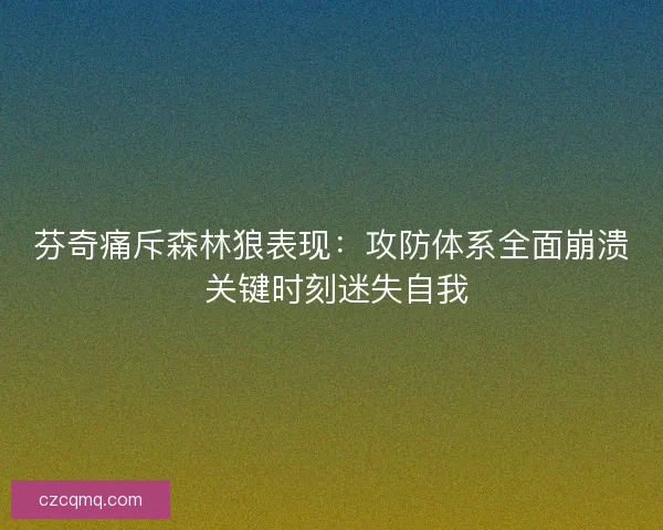 芬奇痛斥森林狼表现：攻防体系全面崩溃 关键时刻迷失自我